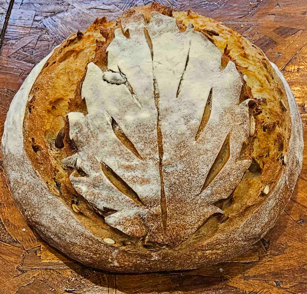Sourdough Round Loaves